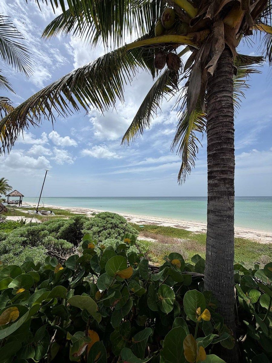 Lote em Chicxulub Puerto, Progreso, foto 5 de 8