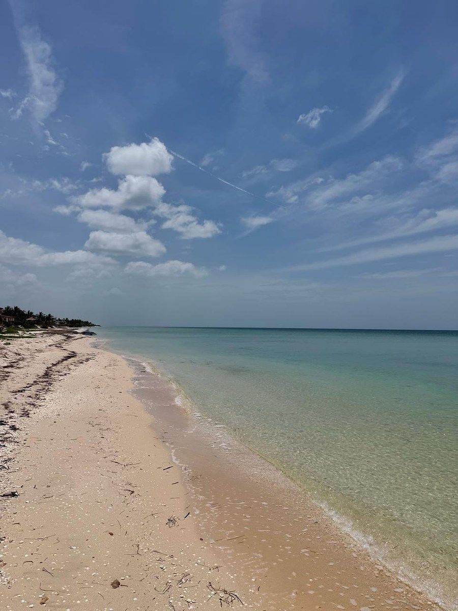 Lote em Chicxulub Puerto, Progreso, foto 8 de 8