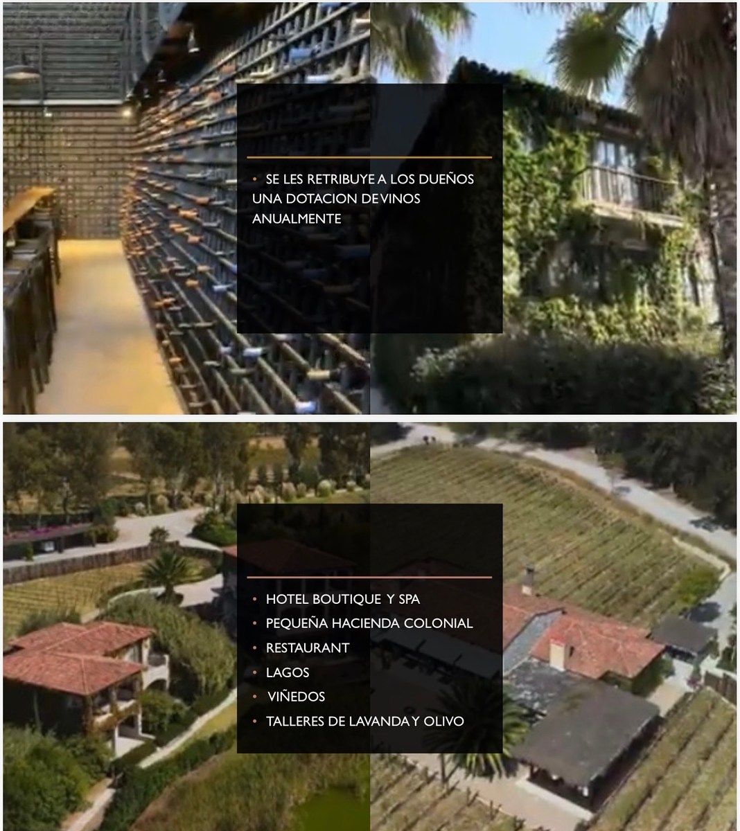 Lote em San Lucas, San Miguel de Allende, foto 5 de 6