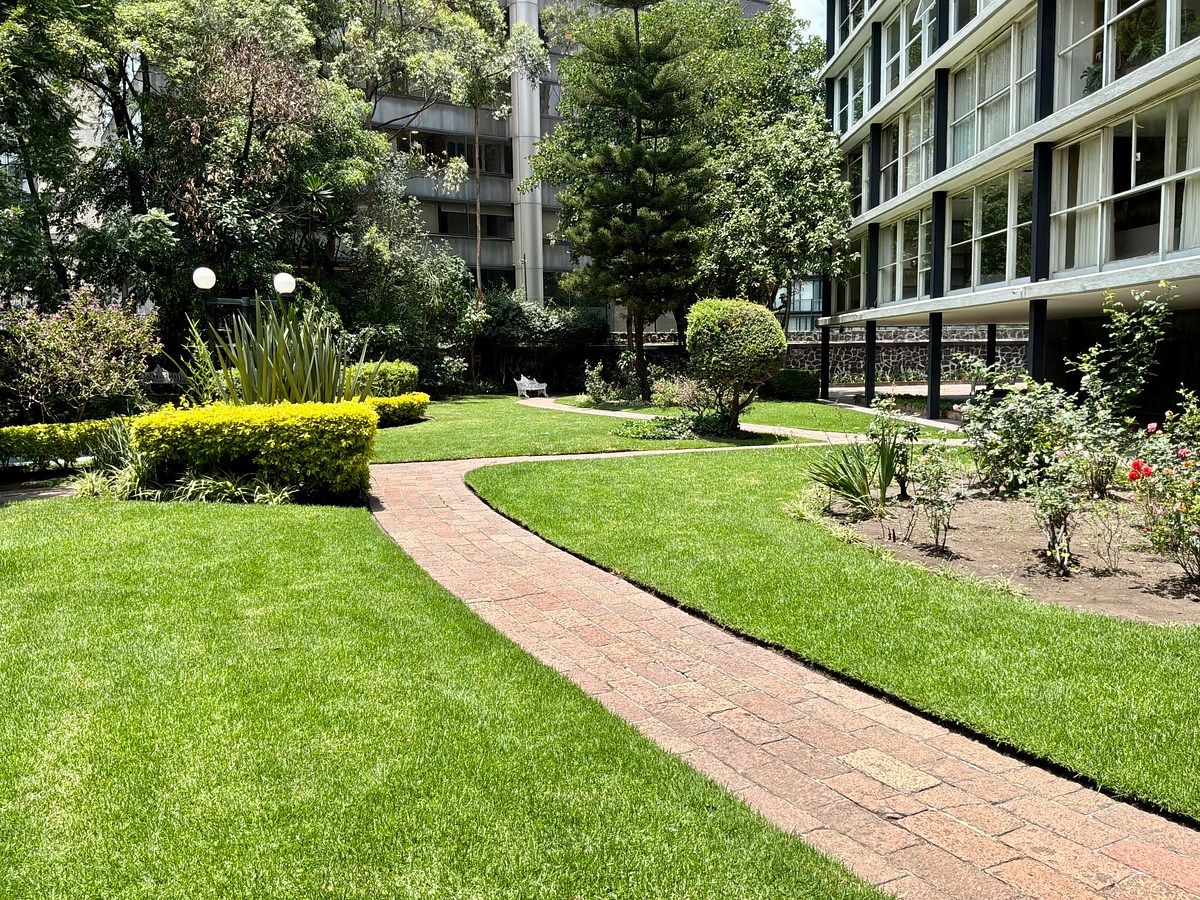 Apartamento em Lomas de Chapultepec I Sección, Miguel Hidalgo, foto 4 de 36