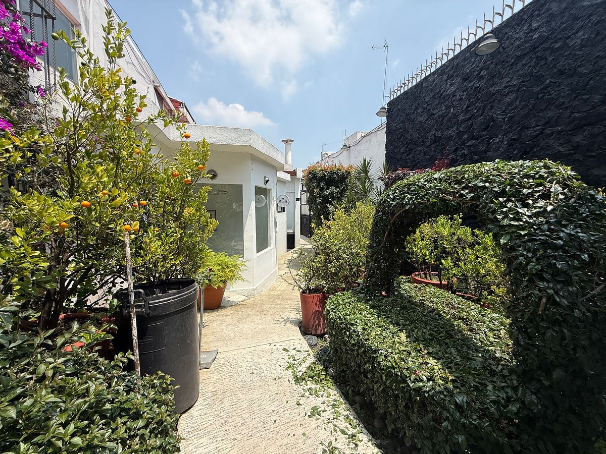 Sala Comercial em Jardines del Pedregal, Álvaro Obregón, foto 7 de 8