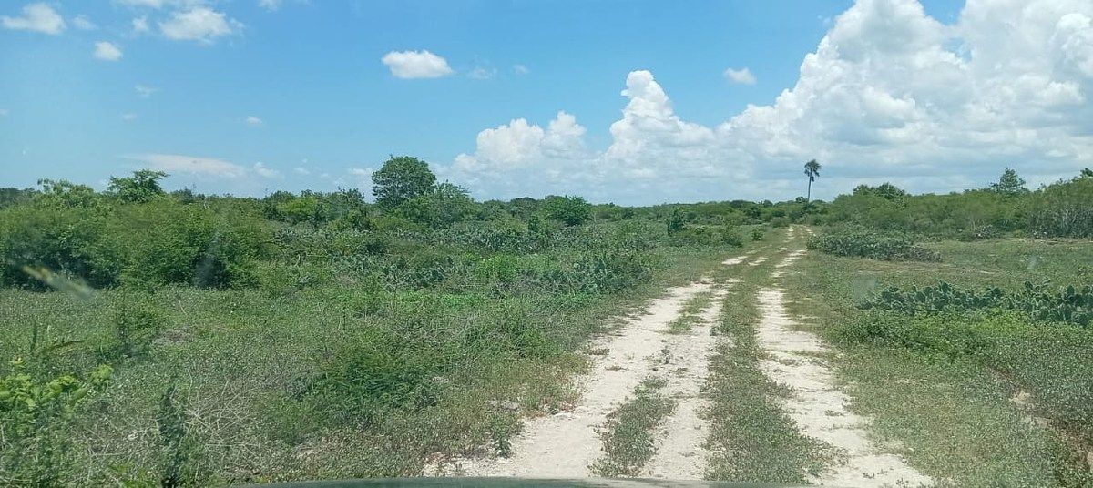 Rancho en Panaba, Panabá, foto 3 de 32
