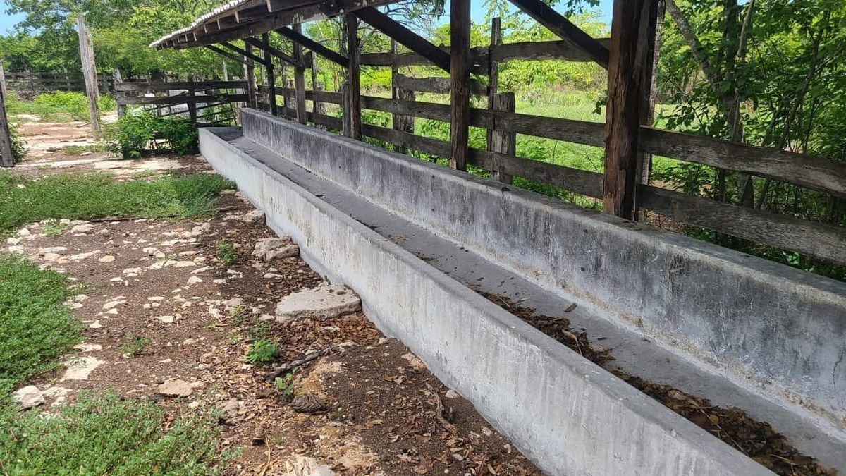 Rancho en Panaba, Panabá, foto 4 de 32