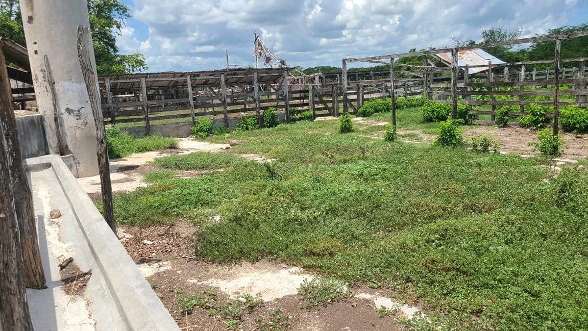 Rancho en Panaba, Panabá, foto 6 de 32