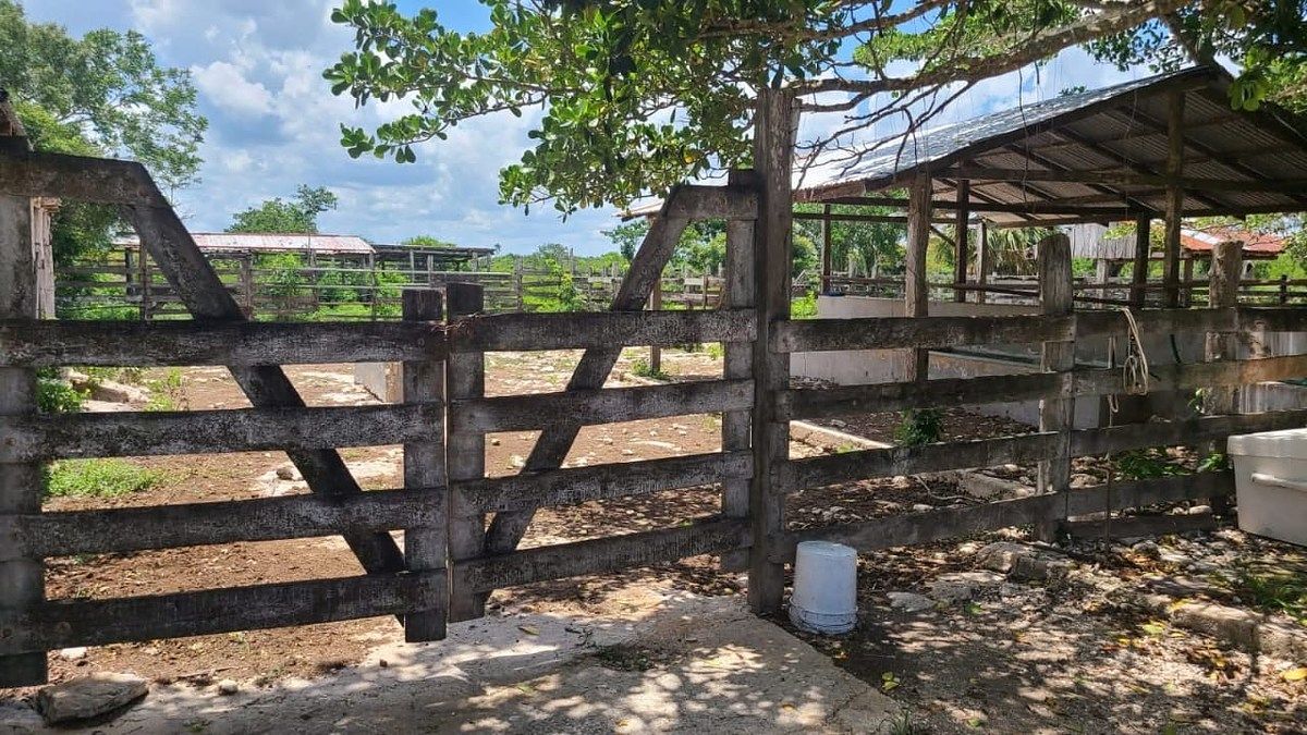 Rancho en Panaba, Panabá, foto 11 de 32