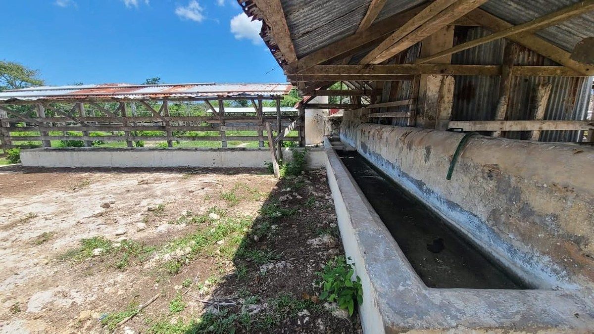 Rancho en Panaba, Panabá, foto 14 de 32