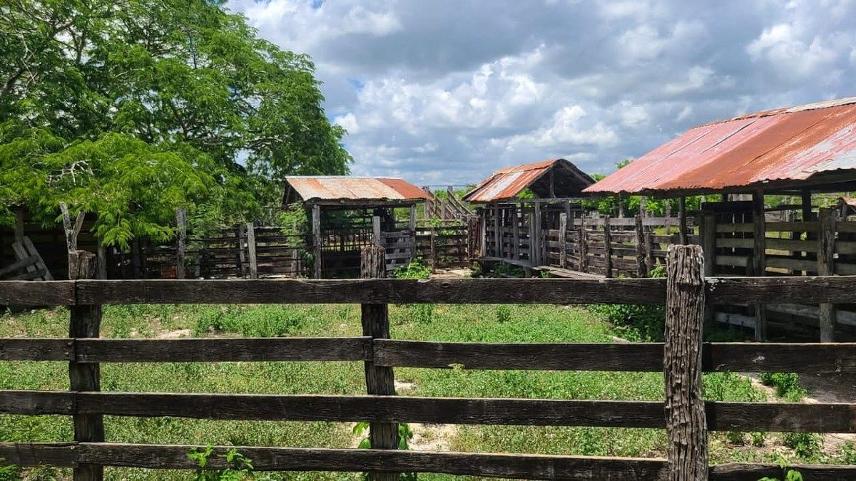 Rancho en Panaba, Panabá, foto 17 de 32