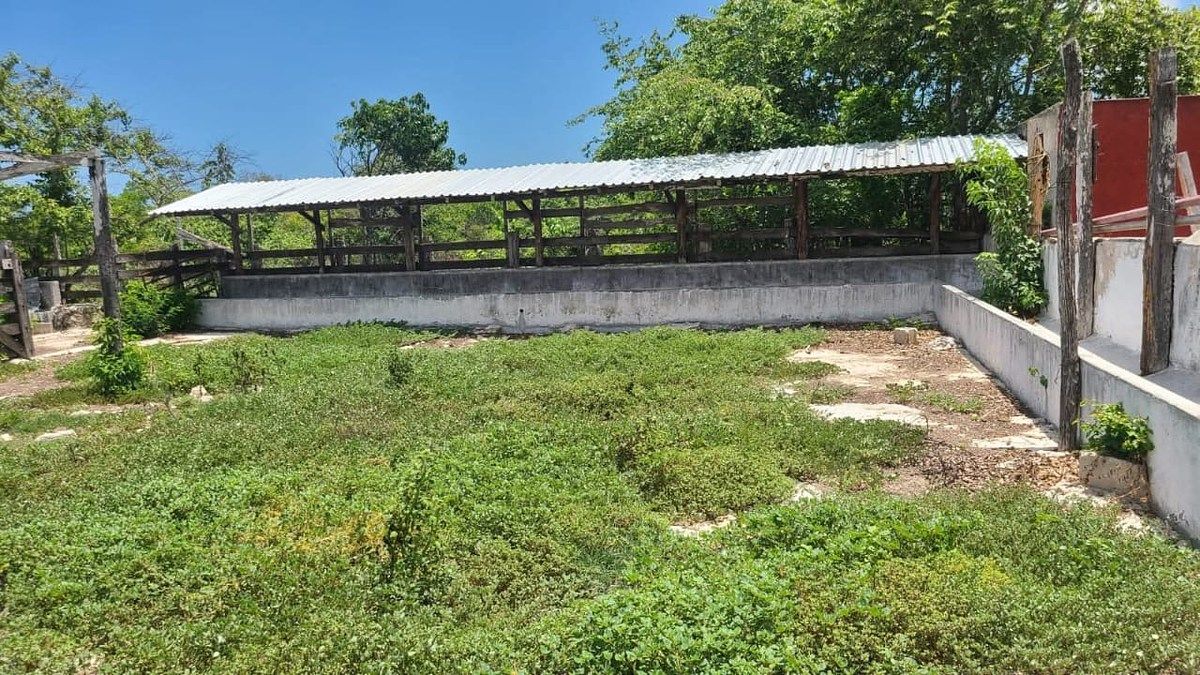 Rancho en Panaba, Panabá, foto 18 de 32