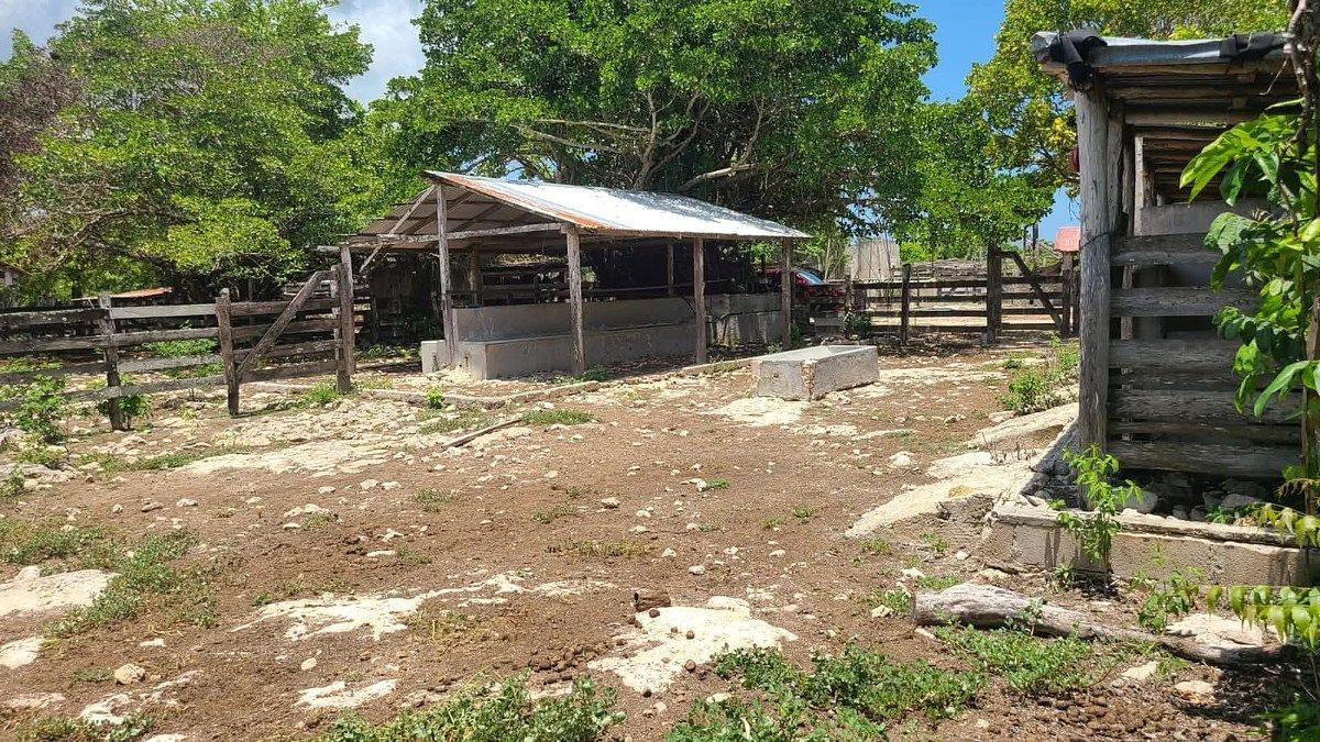 Rancho en Panaba, Panabá, foto 19 de 32