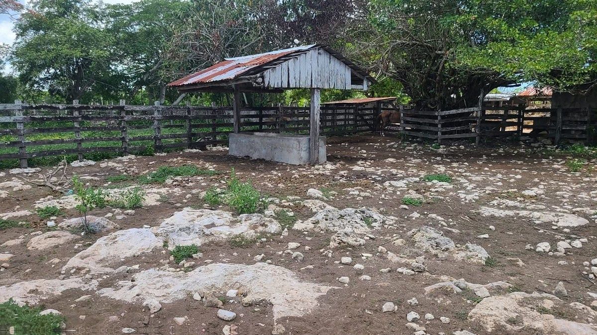 Rancho en Panaba, Panabá, foto 20 de 32
