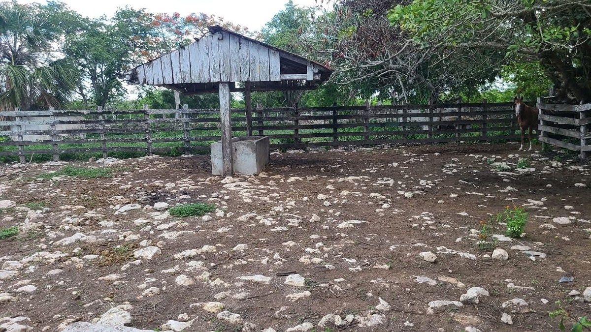 Rancho en Panaba, Panabá, foto 21 de 32