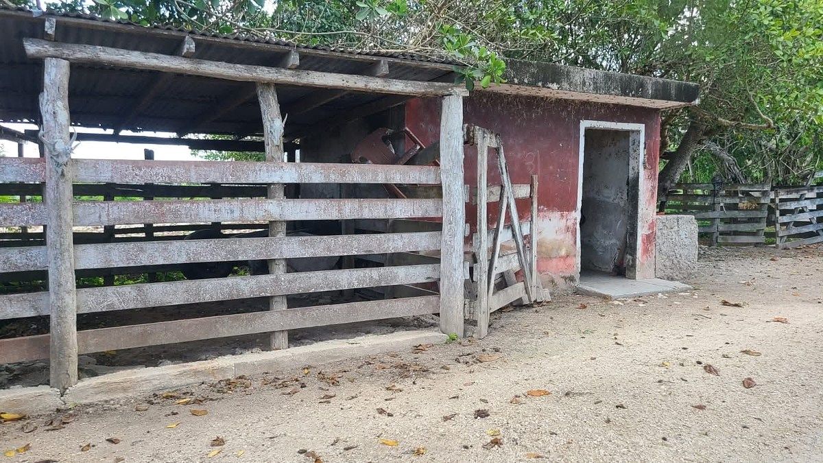 Rancho en Panaba, Panabá, foto 23 de 32