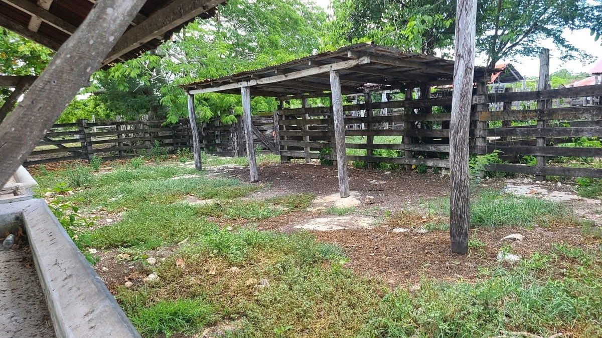 Rancho en Panaba, Panabá, foto 24 de 32