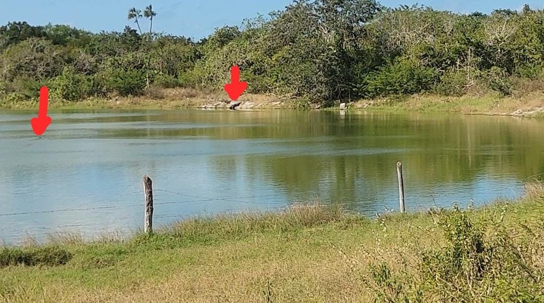 Rancho en Panaba, Panabá, foto 29 de 32