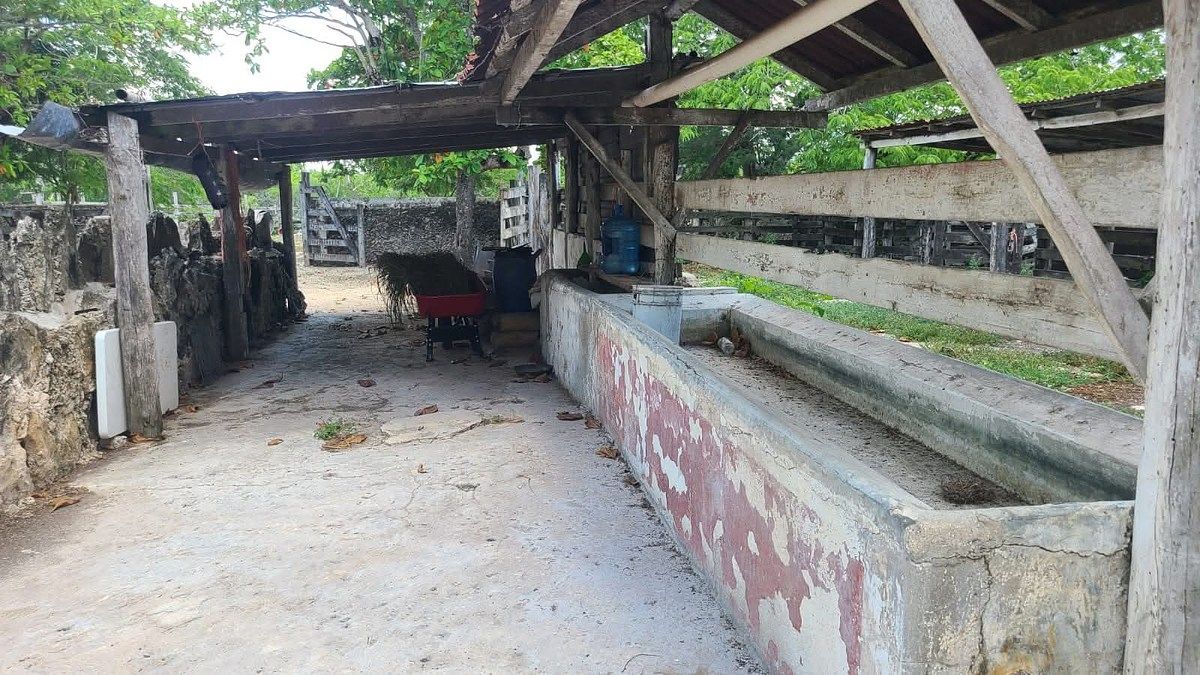 Rancho en Panaba, Panabá, foto 30 de 32
