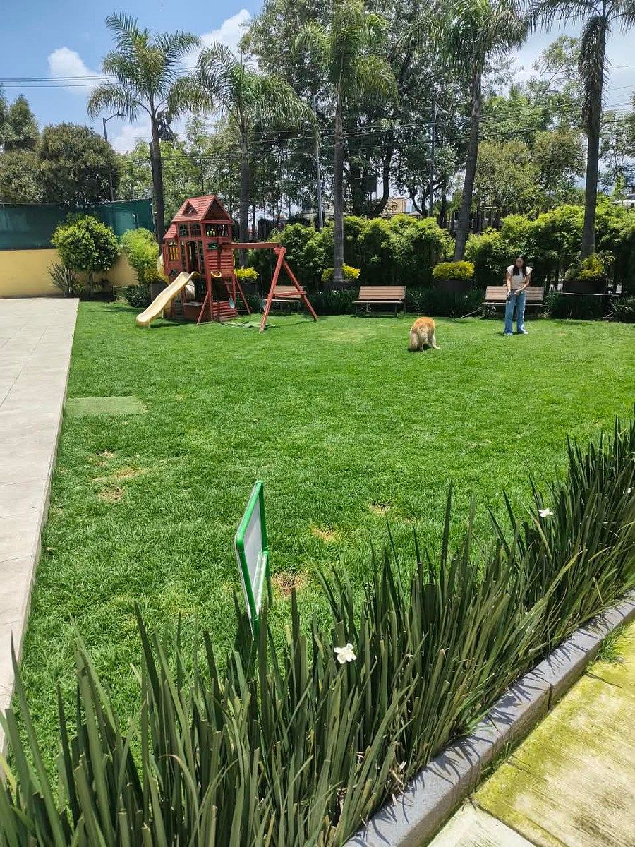 Apartment in Cuajimalpa, Cuajimalpa de Morelos, photo 22 of 27