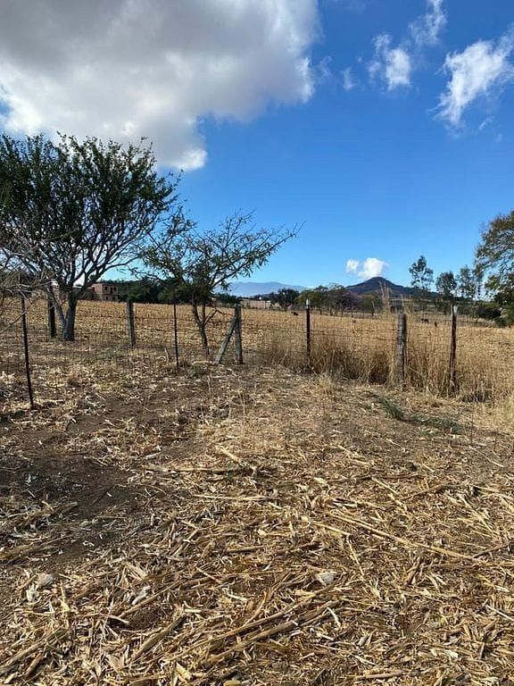 Terreno en Jardines del Capulín, Tlajomulco de Zúñiga, foto 8 de 12
