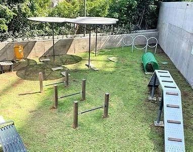 Apartamento em Lomas Altas, Zapopan, foto 12 de 18