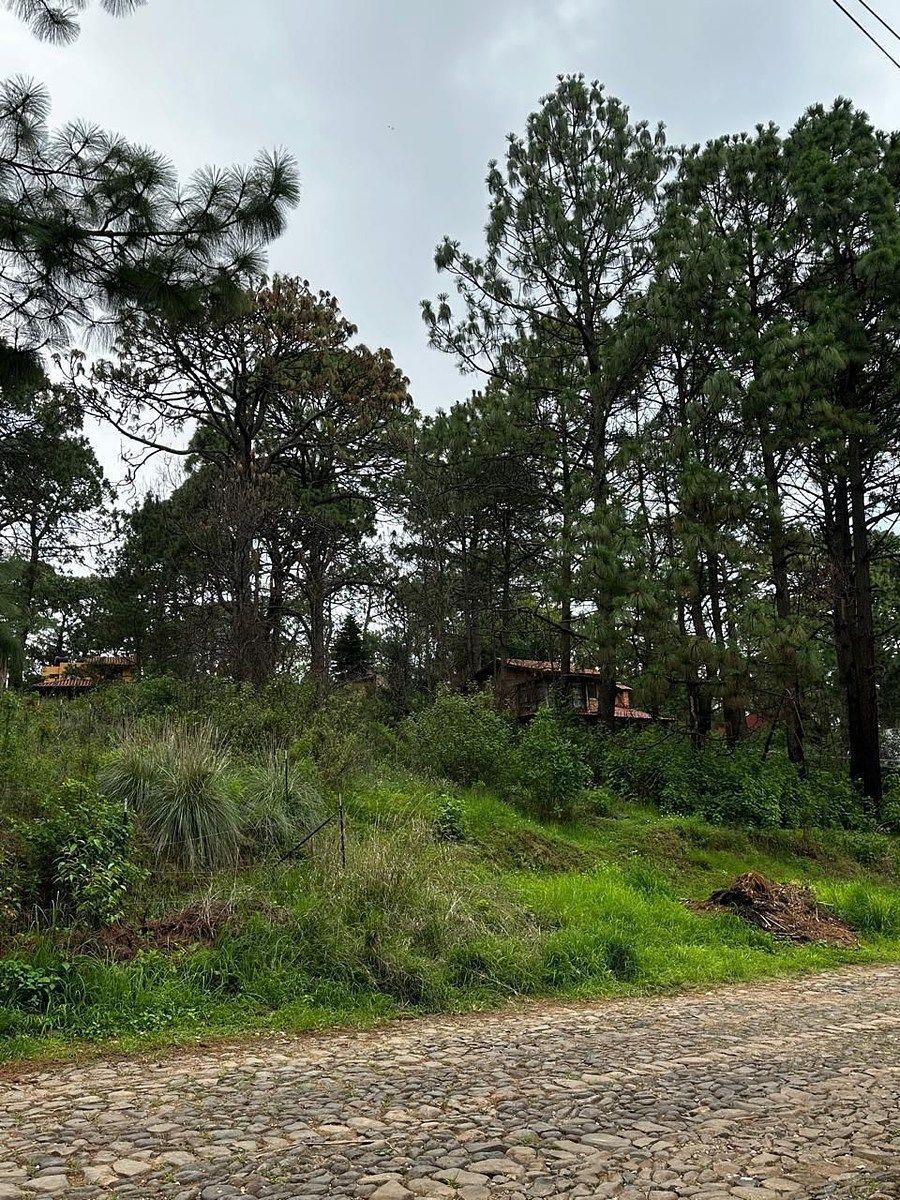 Terreno en Mazamitla, Mazamitla, foto 2 de 9