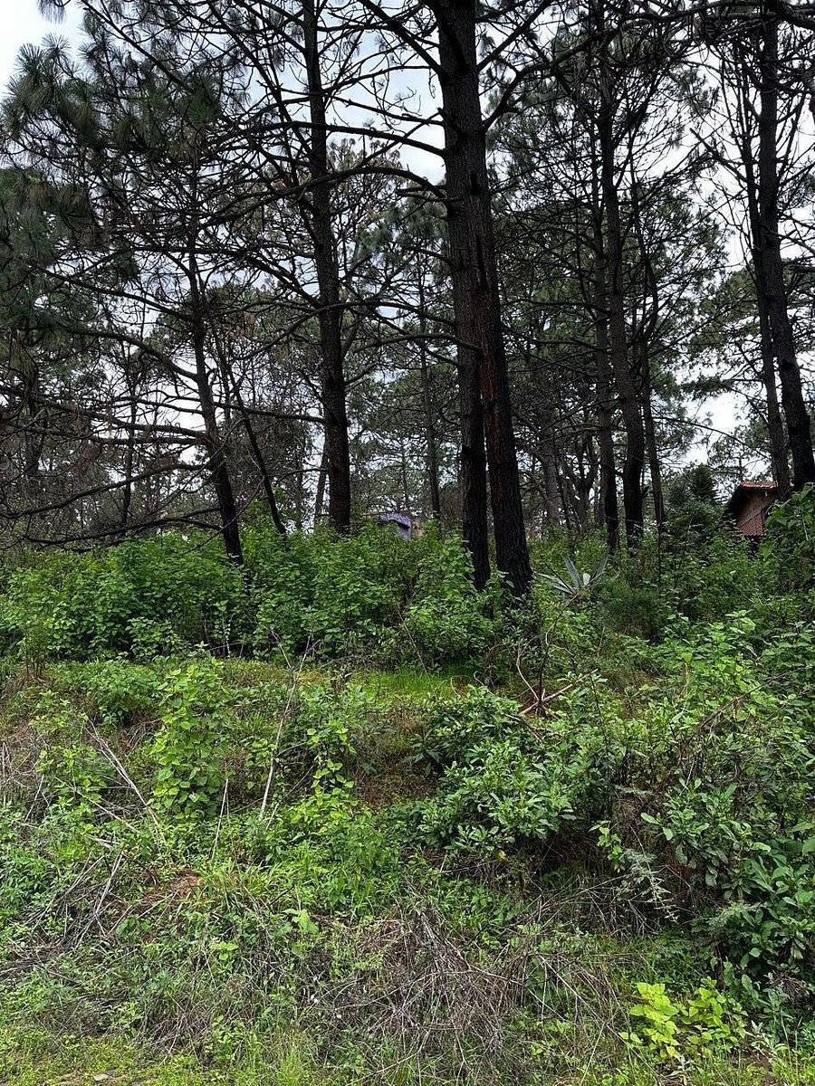 Terreno en Mazamitla, Mazamitla, foto 3 de 9