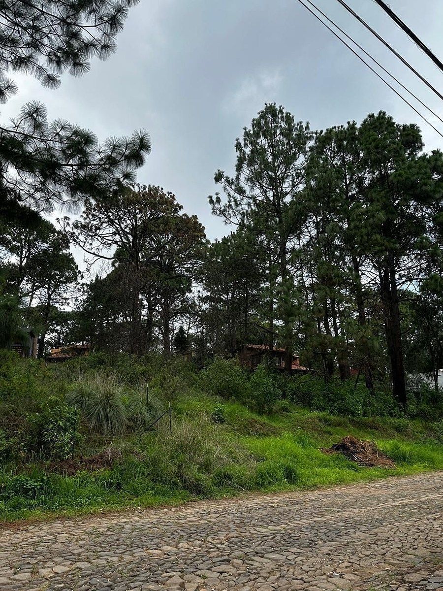 Terreno en Mazamitla, Mazamitla, foto 4 de 9
