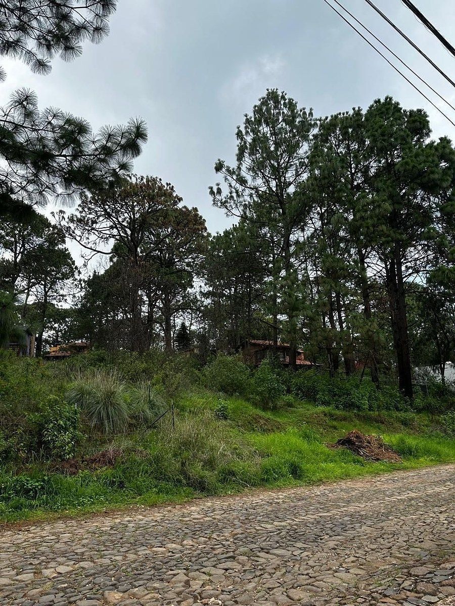 Terreno en Mazamitla, Mazamitla, foto 5 de 9