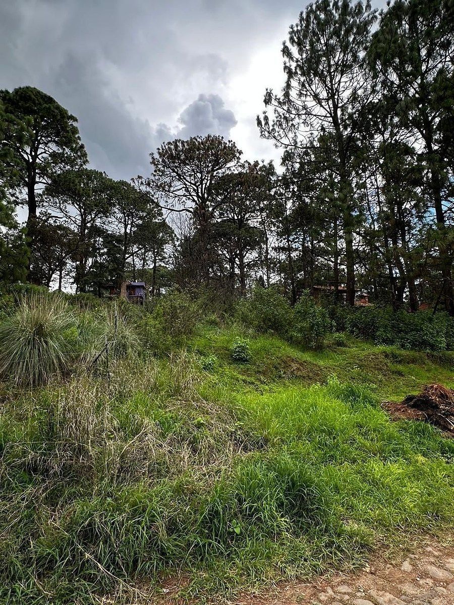 Terreno en Mazamitla, Mazamitla, foto 6 de 9