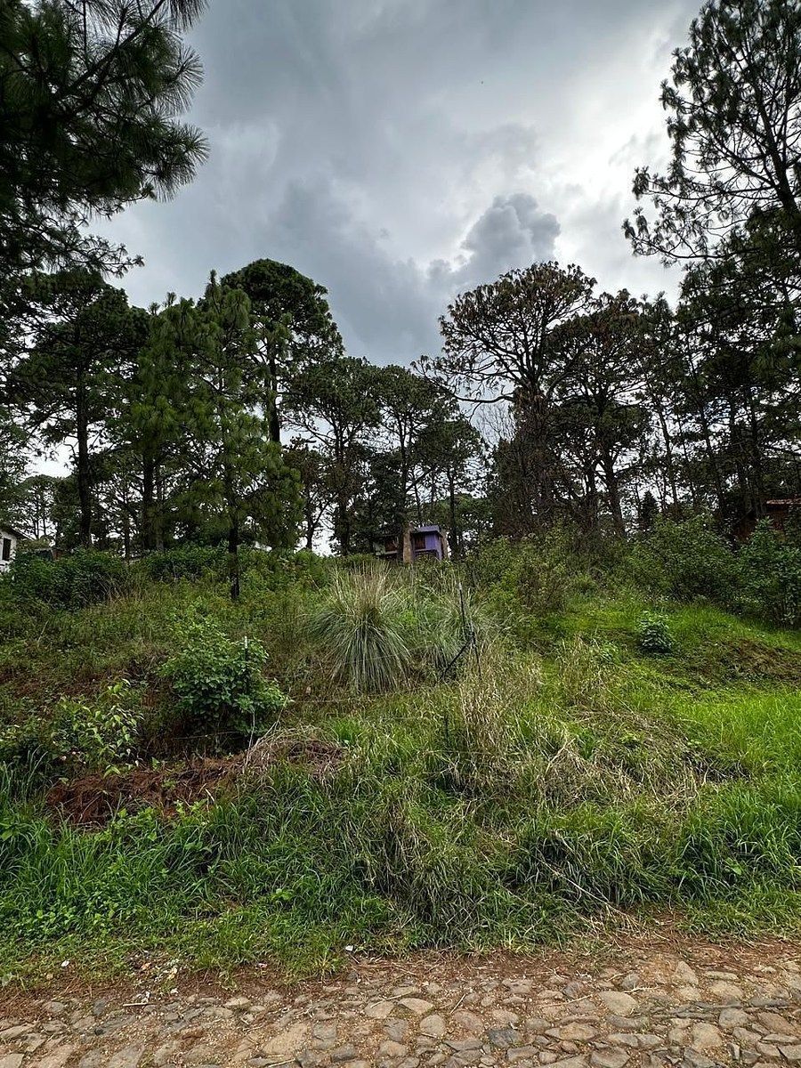 Terreno en Mazamitla, Mazamitla, foto 7 de 9