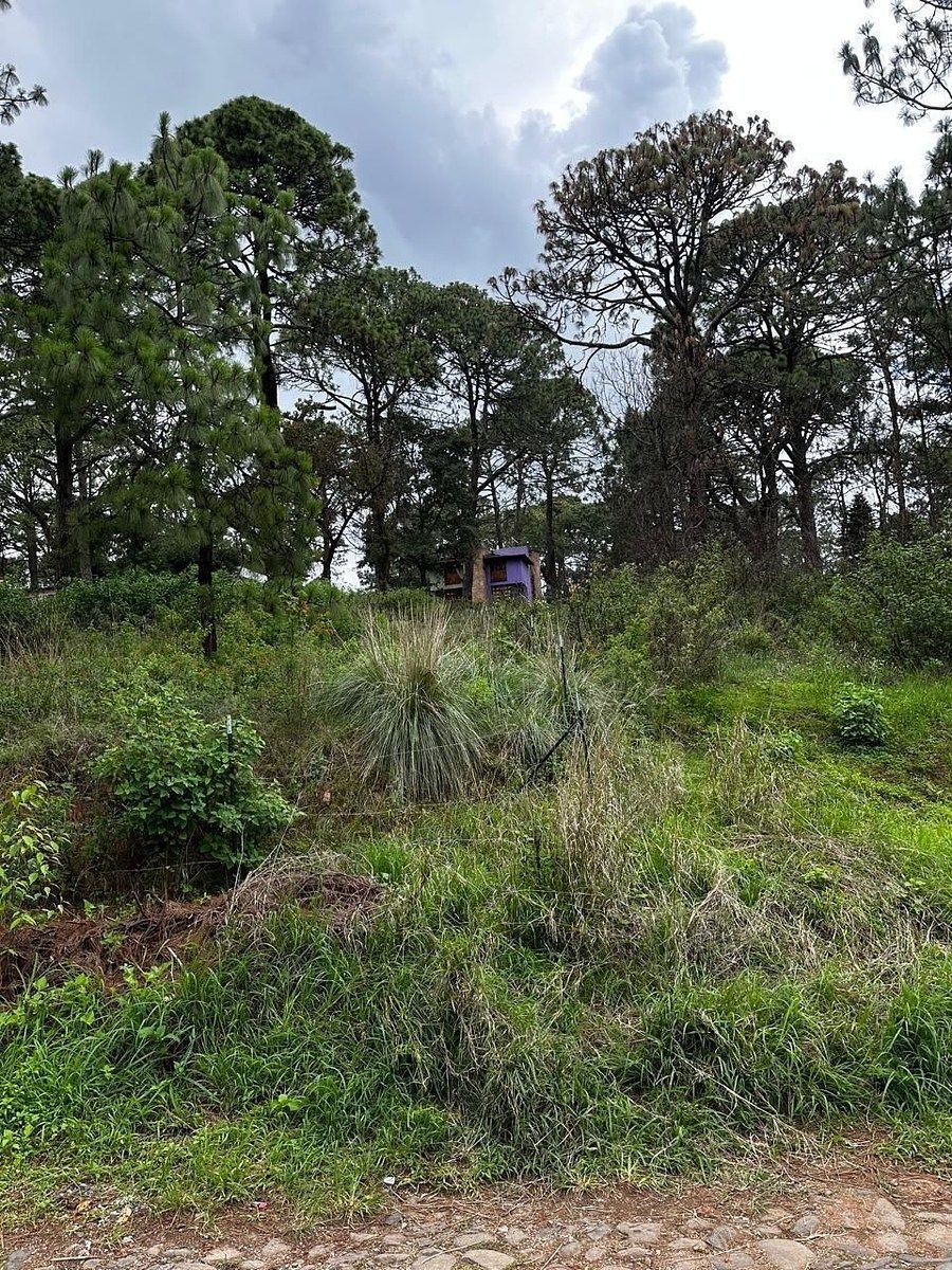 Terreno en Mazamitla, Mazamitla, foto 8 de 9