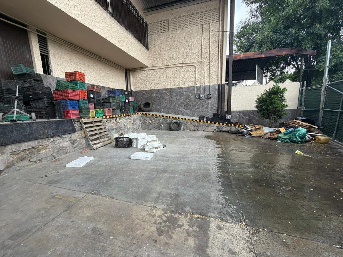 Bodega comercial en Jardines de La Cruz 1a. Sección, Guadalajara, foto 7 de 15