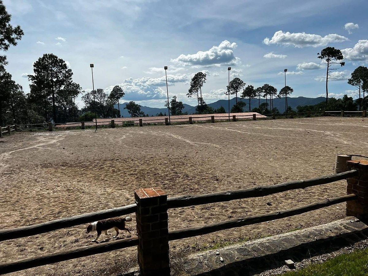 Terreno en Bosques de la Cañada Tapalpa, Tapalpa, foto 6 de 7