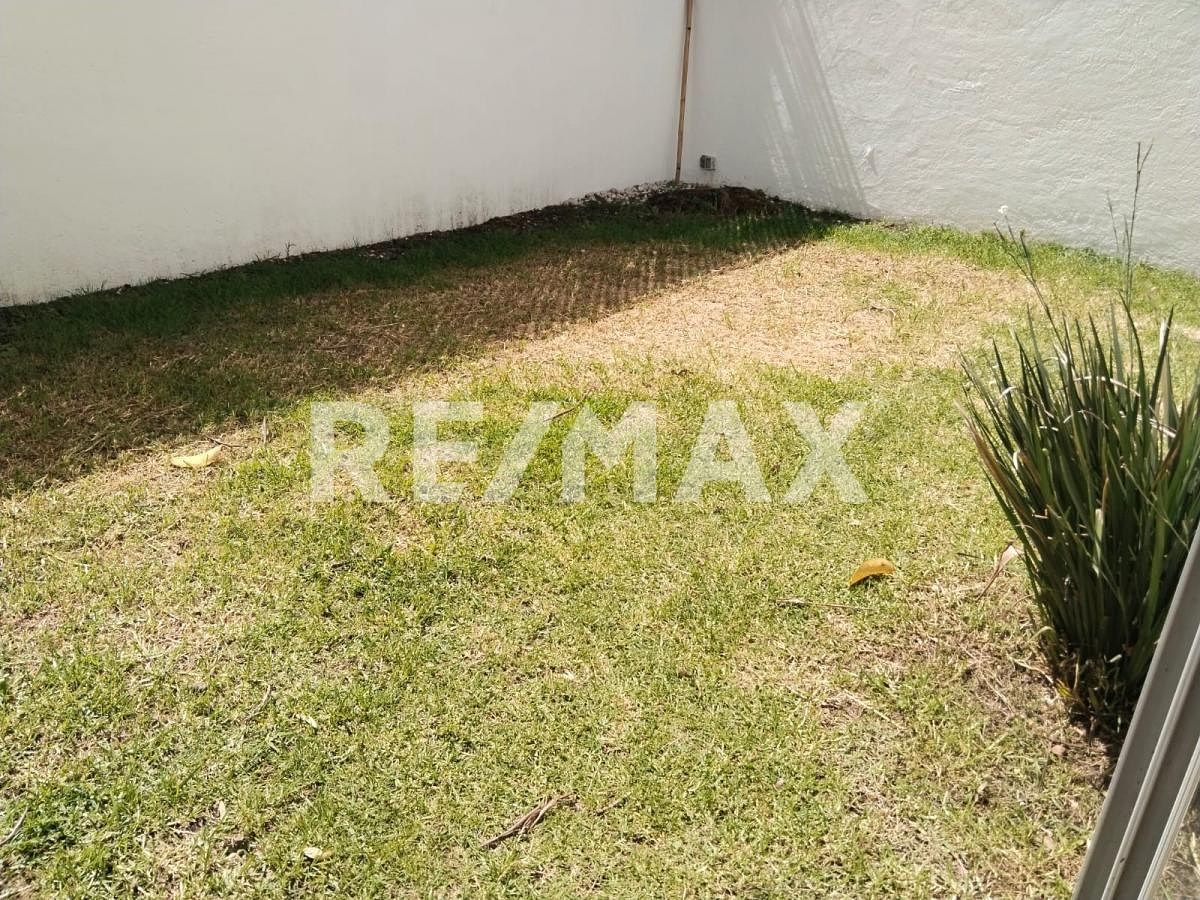 jardín, foto 4 de 47
