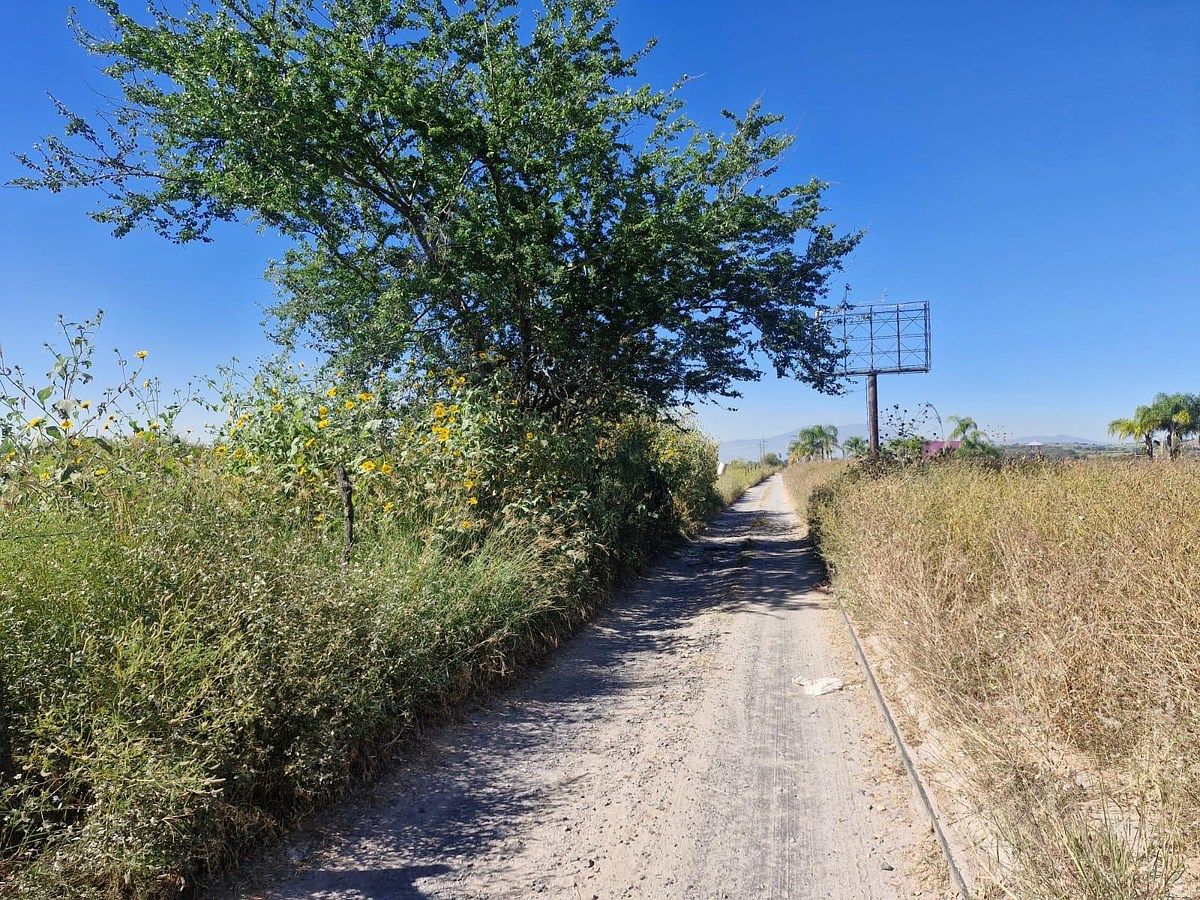 Land for sale in Tala, photo 1 of 5