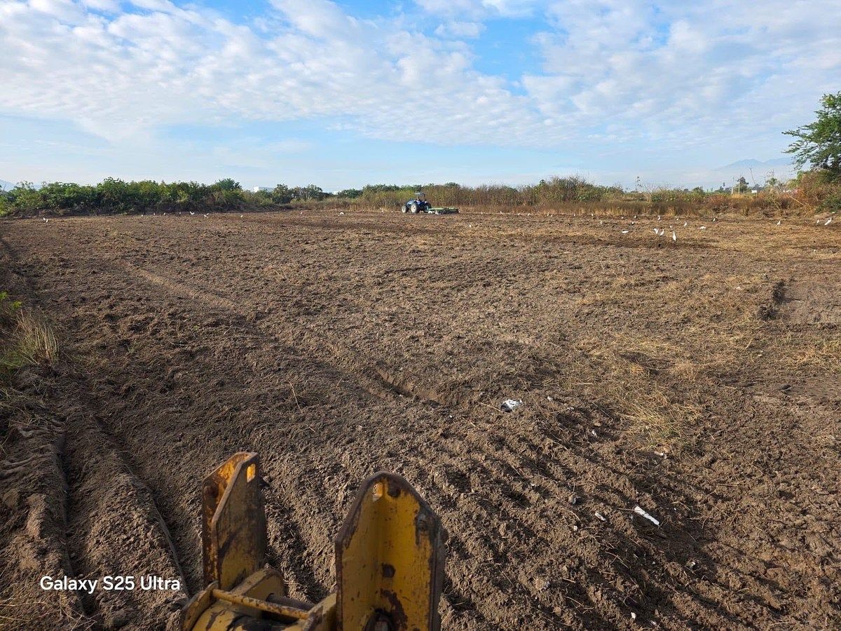 Commercial Lot in Acacias, Tala, photo 5 of 5