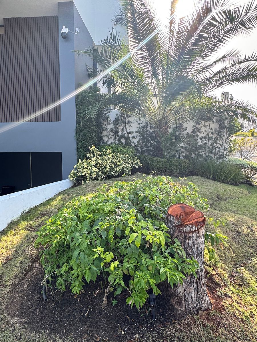 Casa en Isabel Villa, Santo Domingo Centro (Distrito Nacional), foto 20 de 34