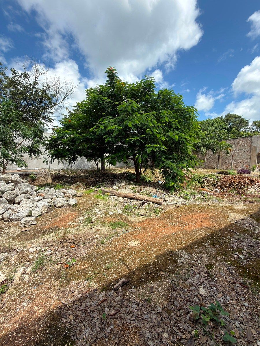Terreno en Conkal, Conkal, foto 18 de 23