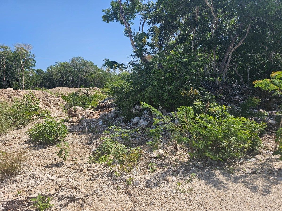 Terreno en Hunucmá, Hunucmá, foto 5 de 6