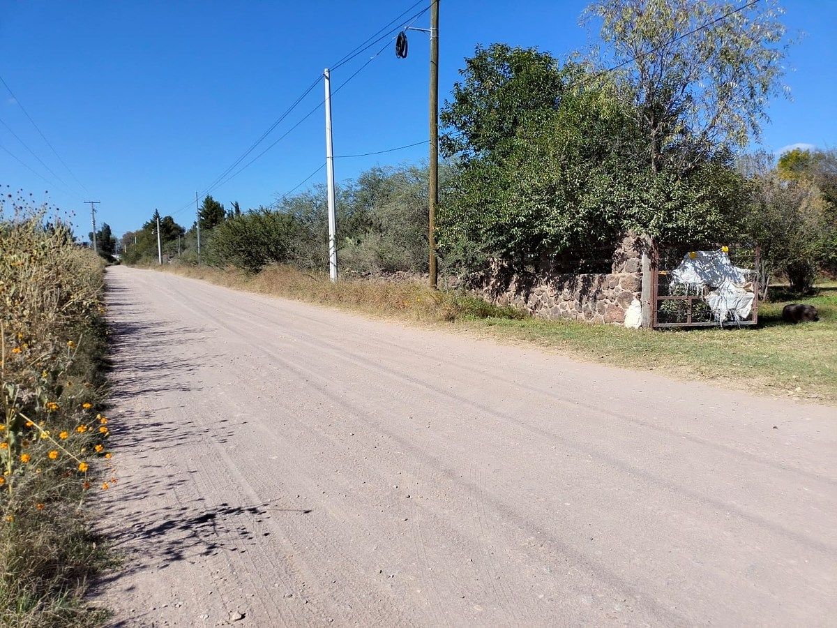 Orchard in Nixtalpan, Nombre de Dios, photo 9 of 25