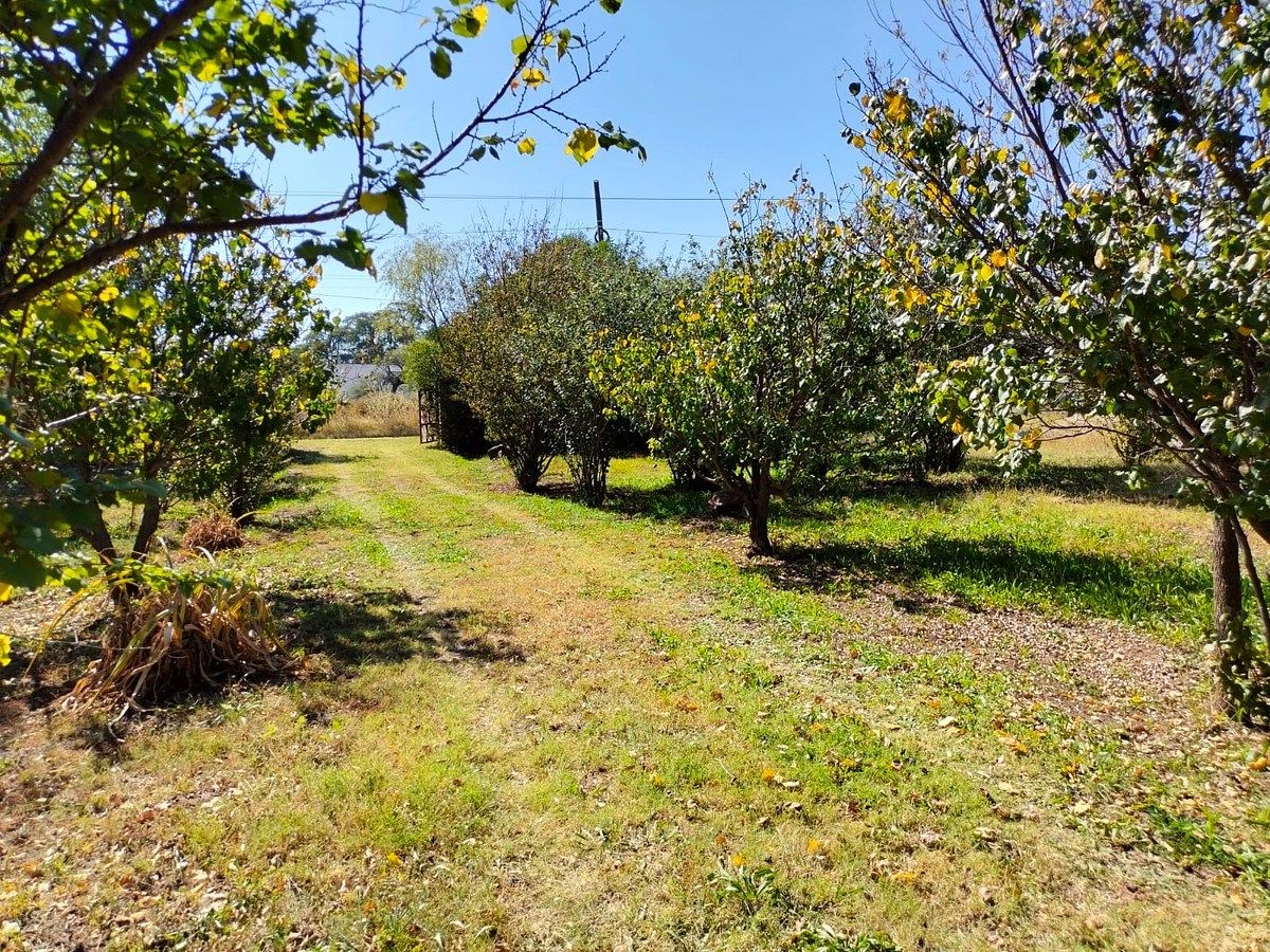 Orchard in Nixtalpan, Nombre de Dios, photo 4 of 25