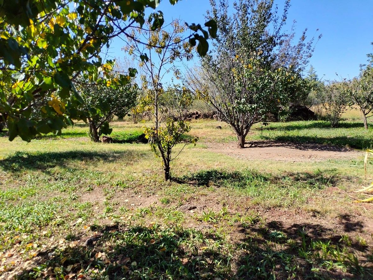 Orchard in Nixtalpan, Nombre de Dios, photo 6 of 25
