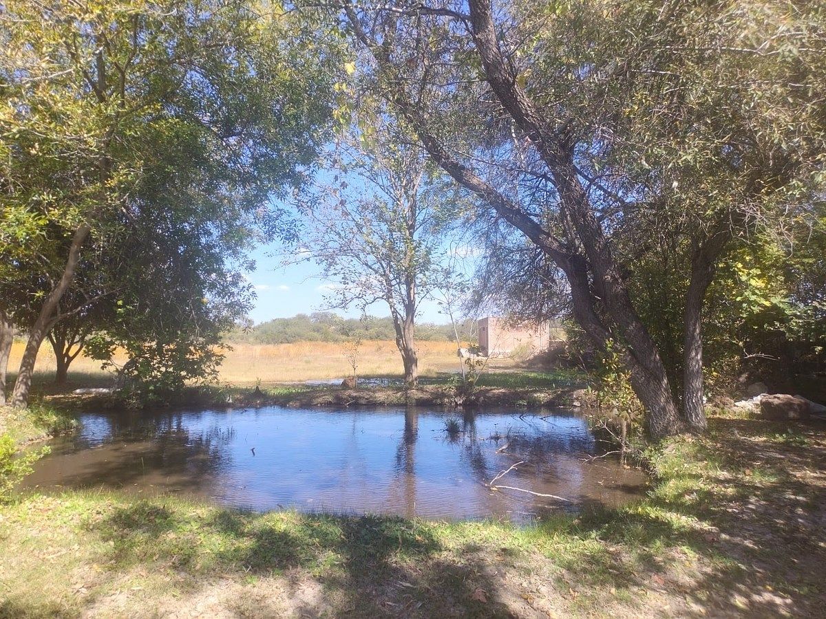 Orchard in Nixtalpan, Nombre de Dios, photo 5 of 25