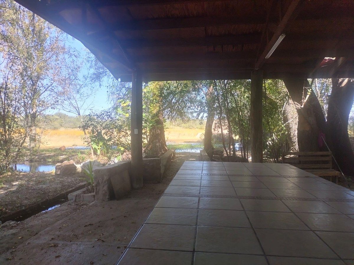 Orchard in Nixtalpan, Nombre de Dios, photo 8 of 25