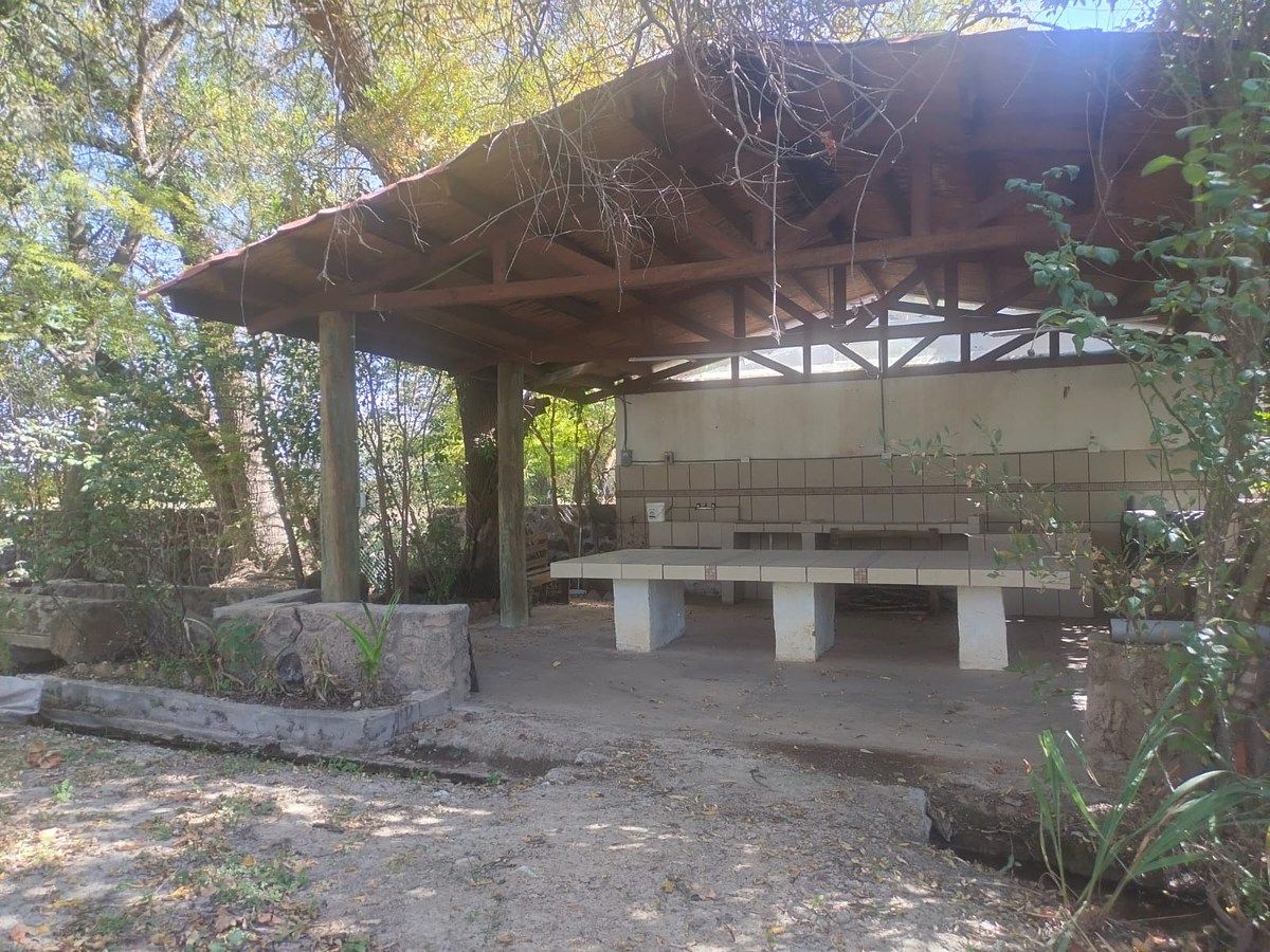 Orchard in Nixtalpan, Nombre de Dios, photo 3 of 25