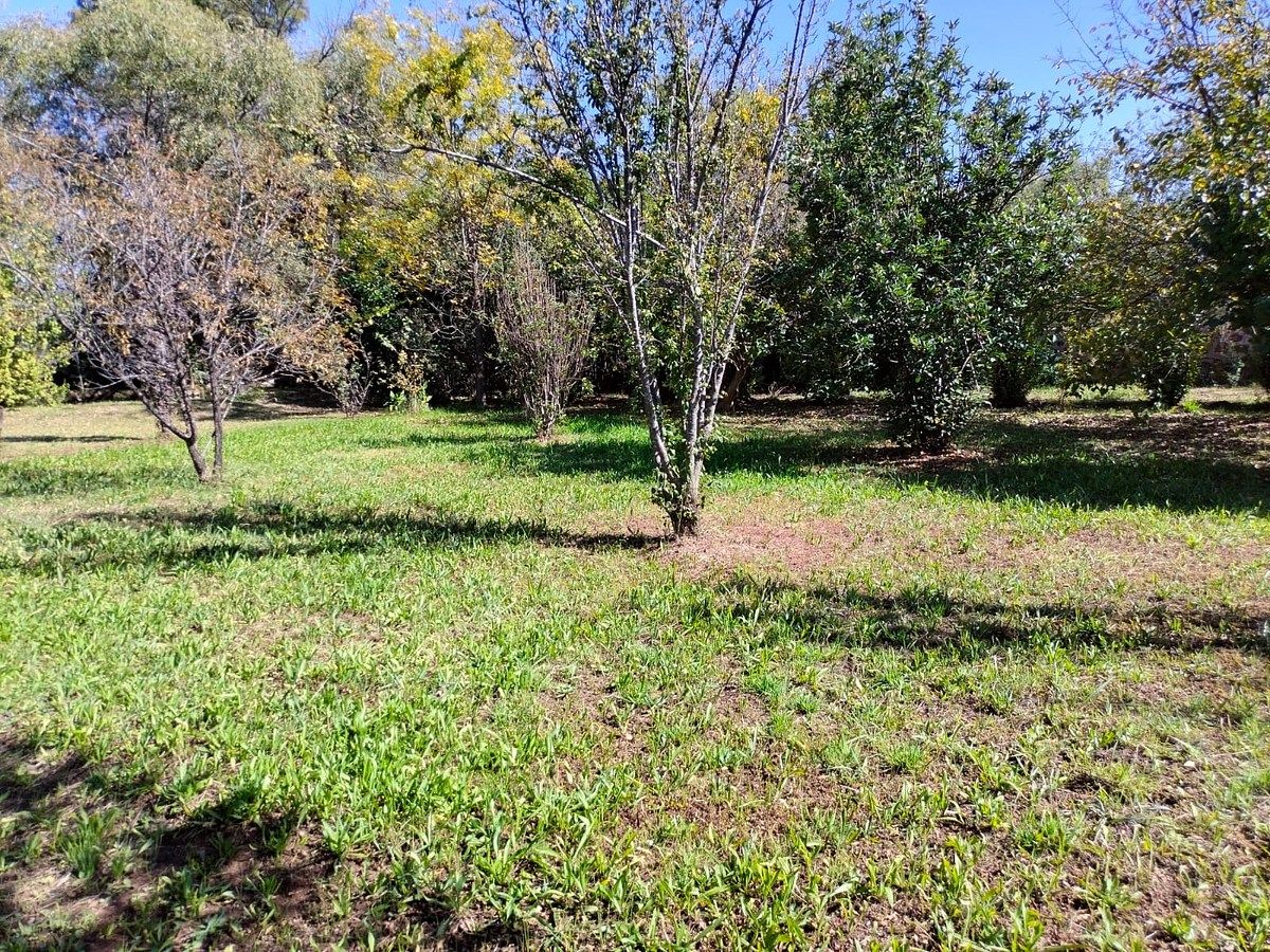 Orchard in Nixtalpan, Nombre de Dios, photo 12 of 25