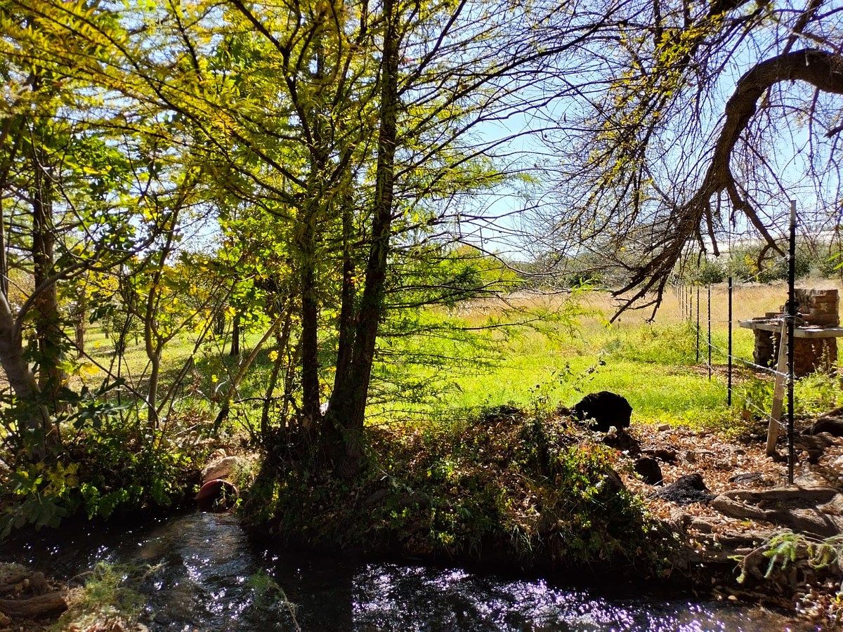 Orchard in Nixtalpan, Nombre de Dios, photo 17 of 25