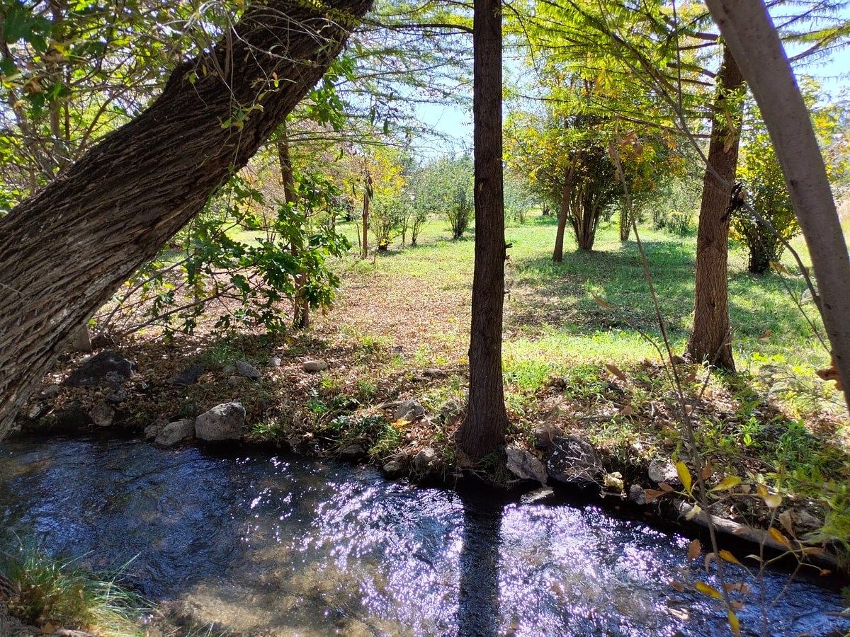 Orchard in Nixtalpan, Nombre de Dios, photo 16 of 25