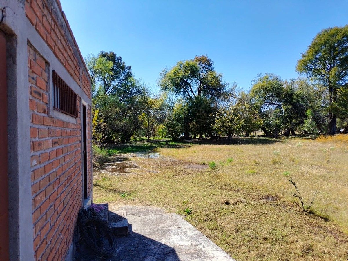 Orchard in Nixtalpan, Nombre de Dios, photo 20 of 25