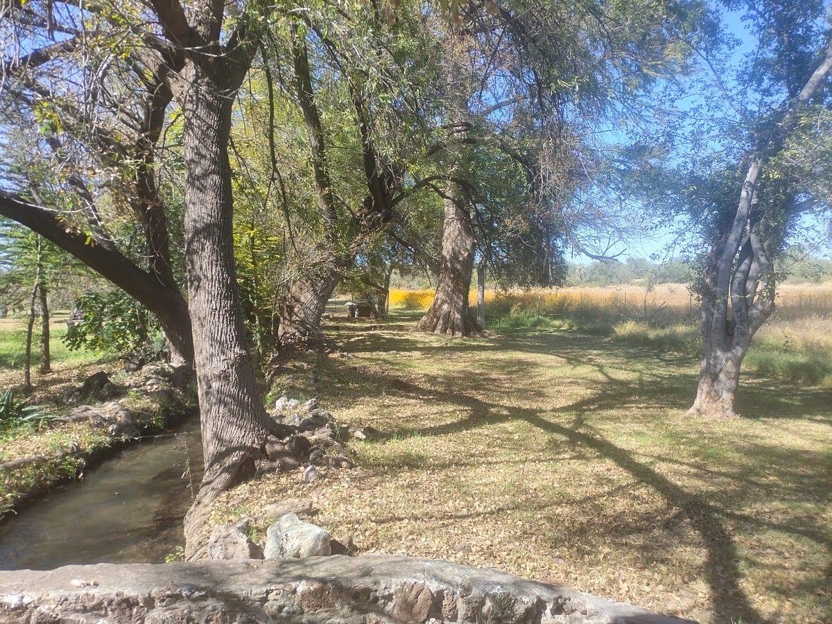 Orchard in Nixtalpan, Nombre de Dios, photo 21 of 25