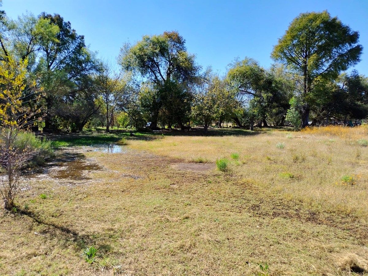 Orchard in Nixtalpan, Nombre de Dios, photo 24 of 25