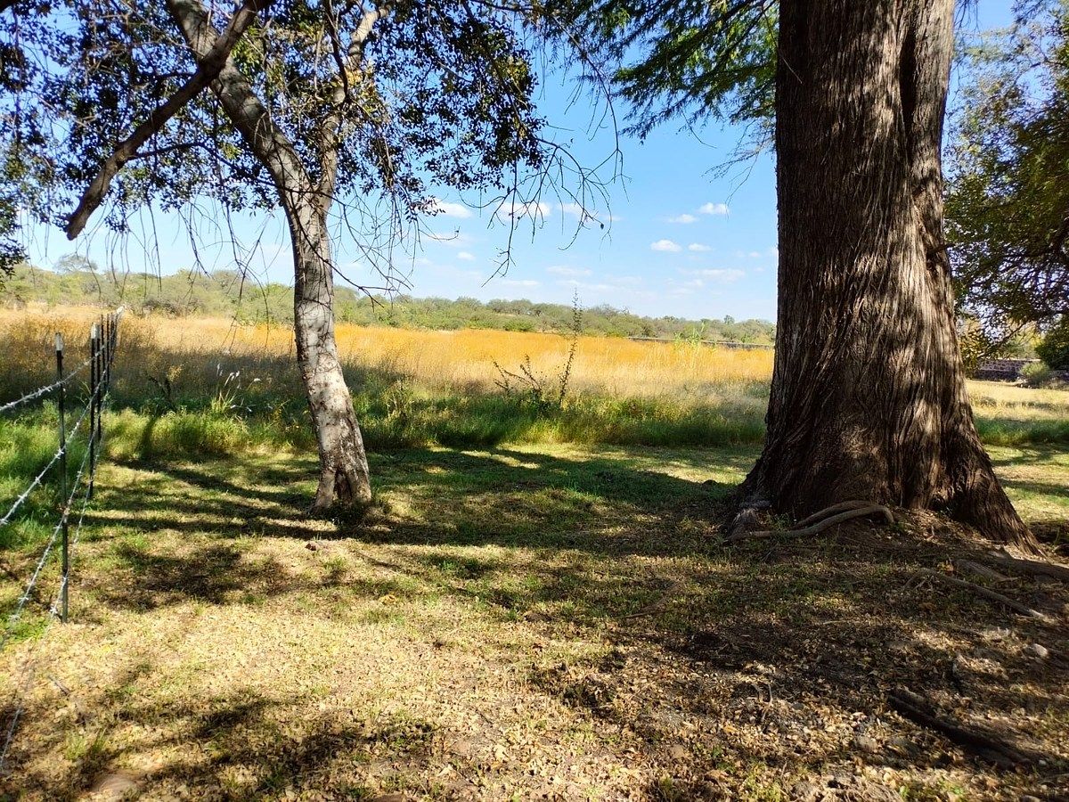Orchard in Nixtalpan, Nombre de Dios, photo 25 of 25
